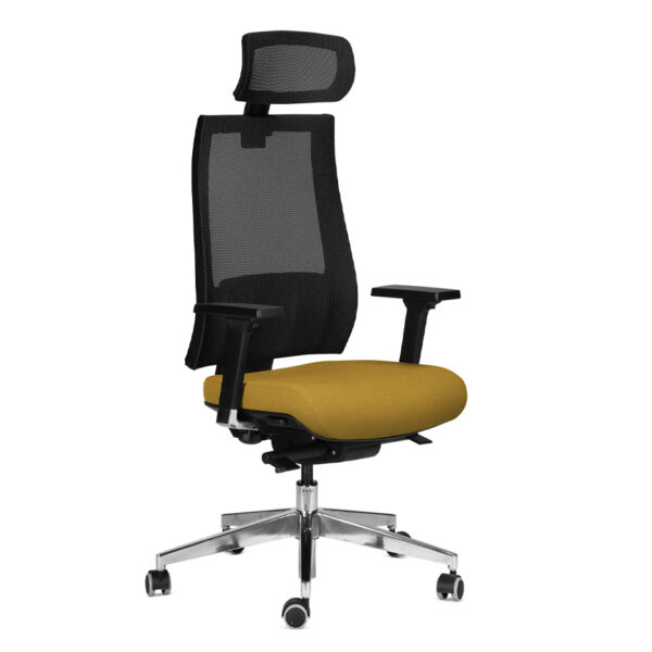 Executive Desk chair in mesh back