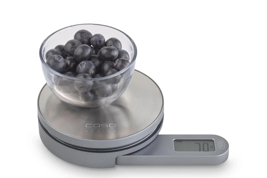 caso kitchen scale with a pot of blueberries on top of it