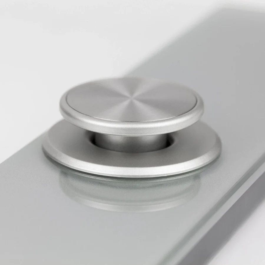 Case scale button in silver