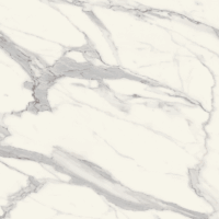 781 Venato Bianco Marble 781 Venato Bianco Marble