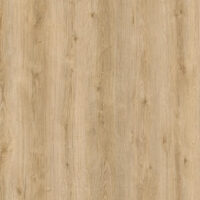 Rovere Evoke
